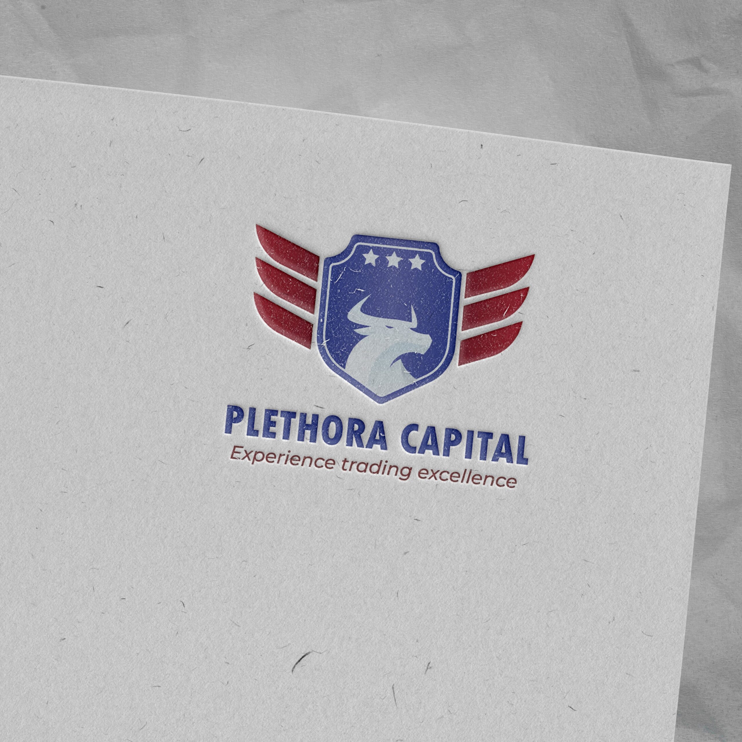 plethora capital logo